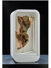 Février 2026 La "boîte à histoire", le trophée des René du Cinéma